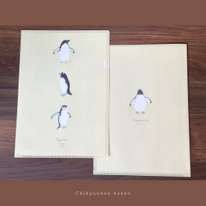 ピゴセリス属3種のクリアファイルです。